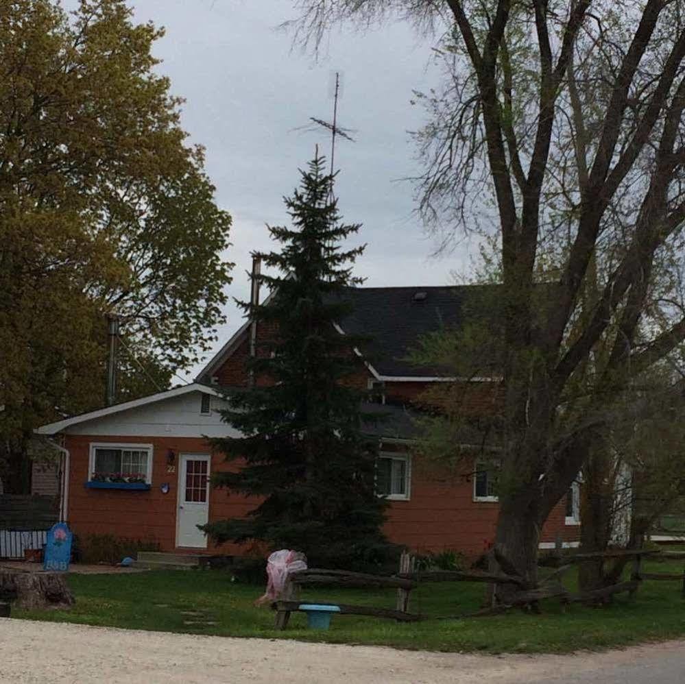 Emily'S Place B&B Creemore Exteriör bild